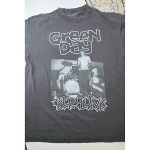 NWOT adult size large Green Day thick Tshirt.  Nice heavy cotton shirt. Unisex.